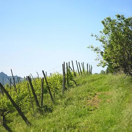 Bed & Breakfast Oinoe Traversetolo