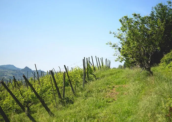 Nocleg ze śniadaniem Oinoe Traversetolo