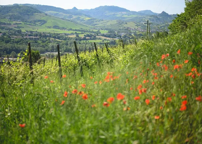 Nocleg ze śniadaniem Oinoe 3*